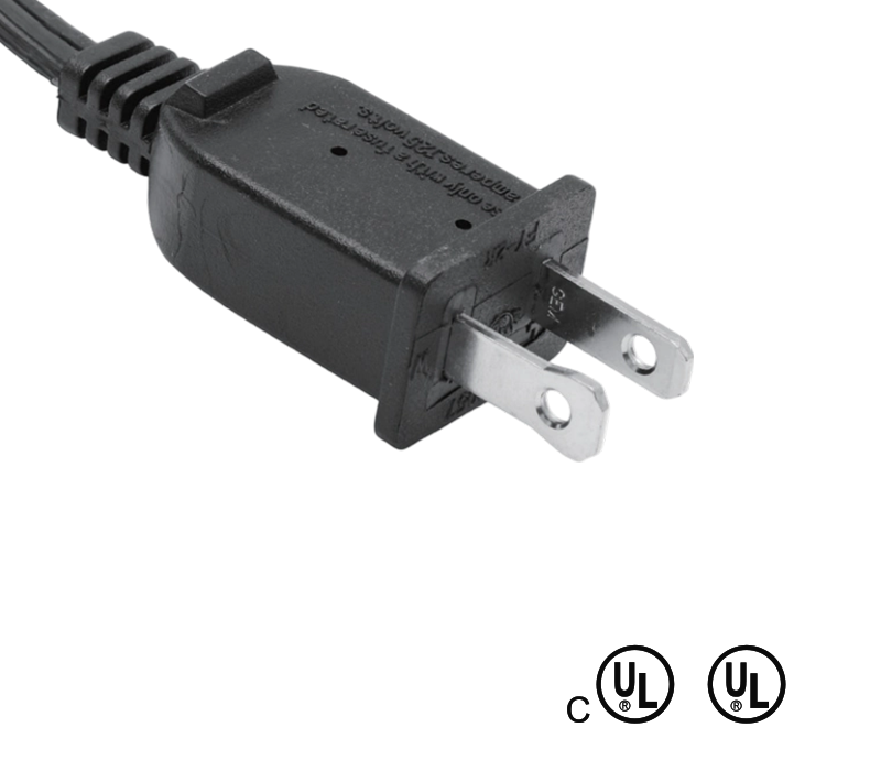 FY-2R 13A 125V Two-Pin American Standard Plug na May Fuse